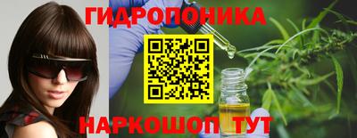 2c-b Камышлов