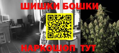 2c-b Камышлов