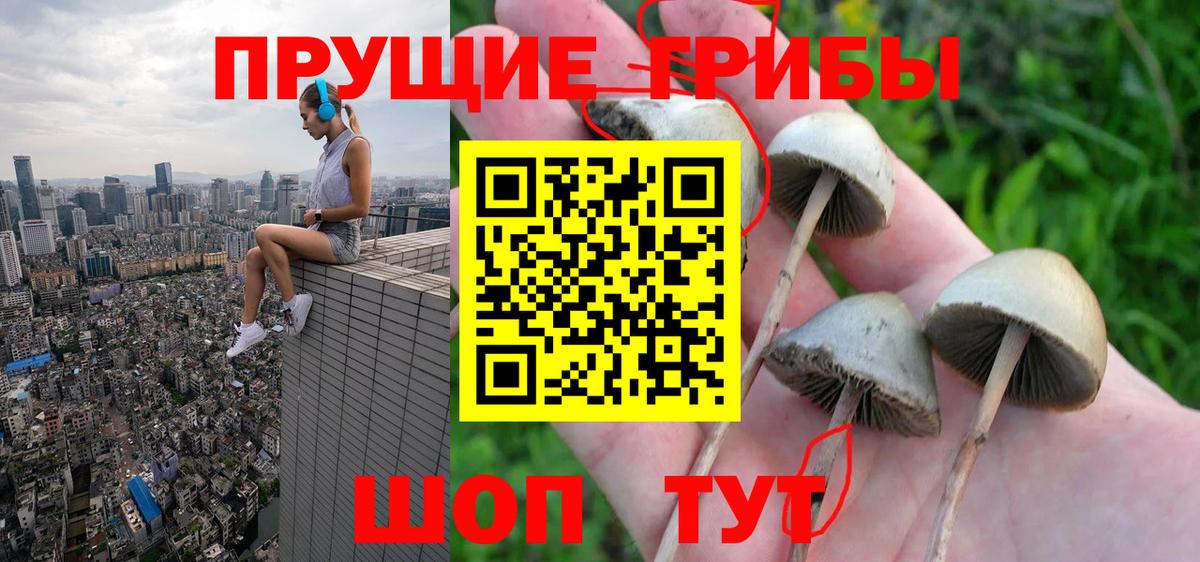 Дальнереченск  Галлюциногенные грибы Magic Shrooms  Вход с VPN 